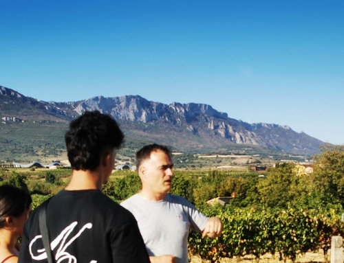 Autumn Highlights of Basque Culture – October 2026
