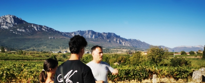 Bespoke Private Basque Culture Rioja wine Experiences by Aitor Delgado Tours in October 2026