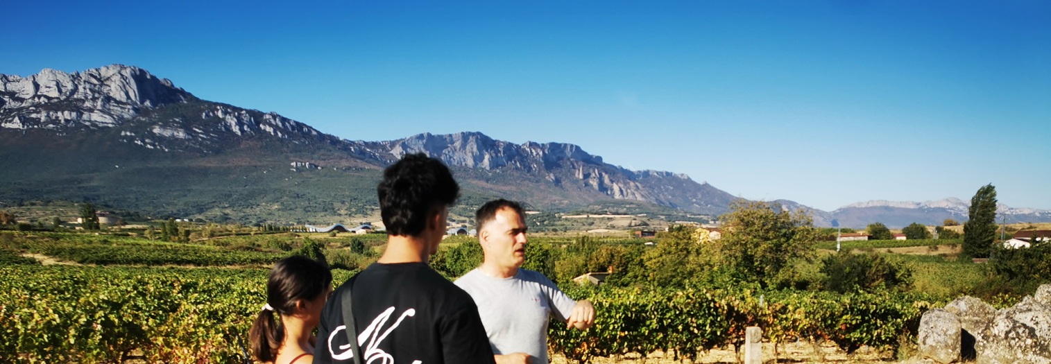Bespoke Private Basque Culture Rioja wine Experiences by Aitor Delgado Tours in October 2026